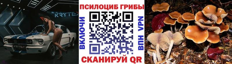 Псилоцибиновые грибы прущие грибы  Купить где  Тарко-Сале 